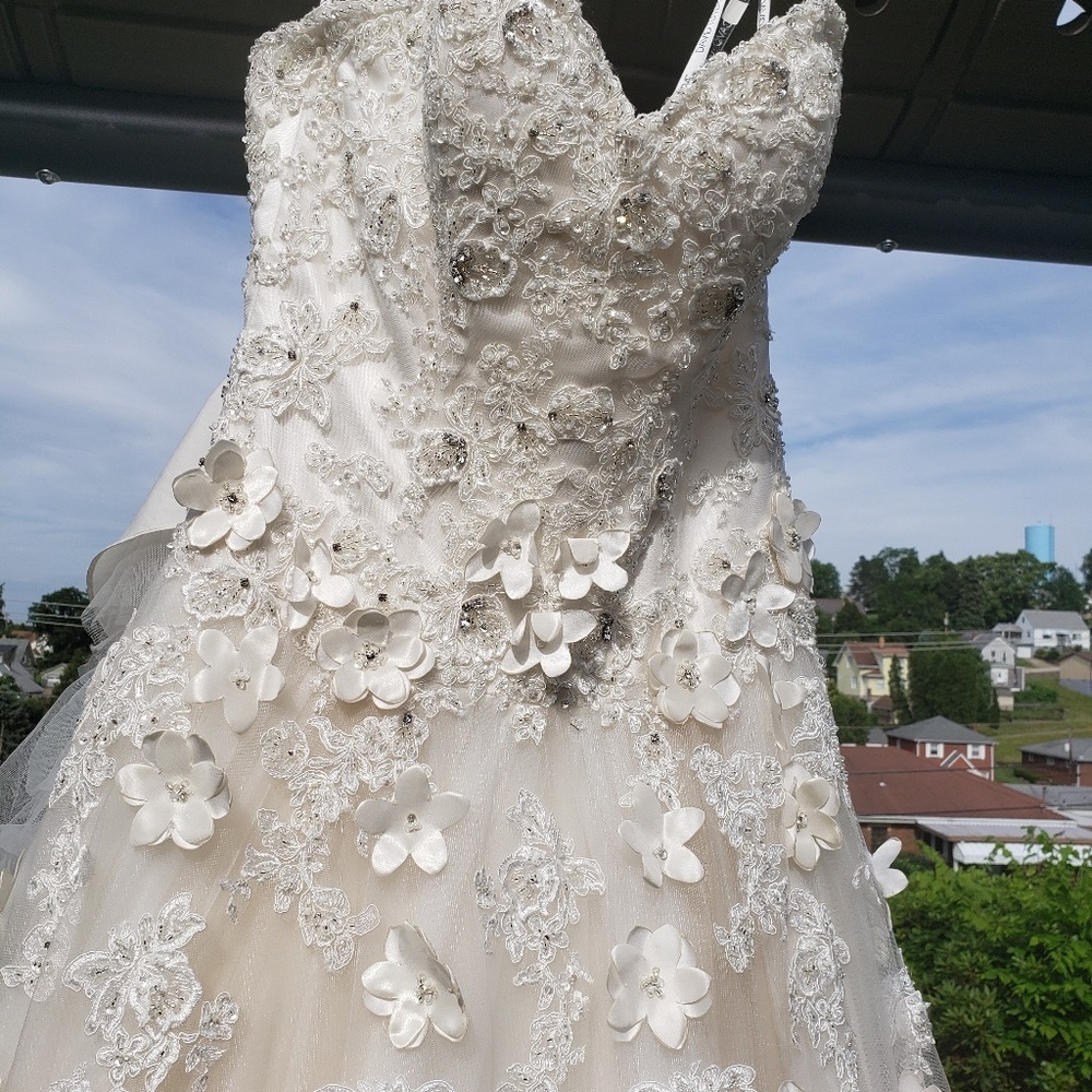 David Tutera bridal